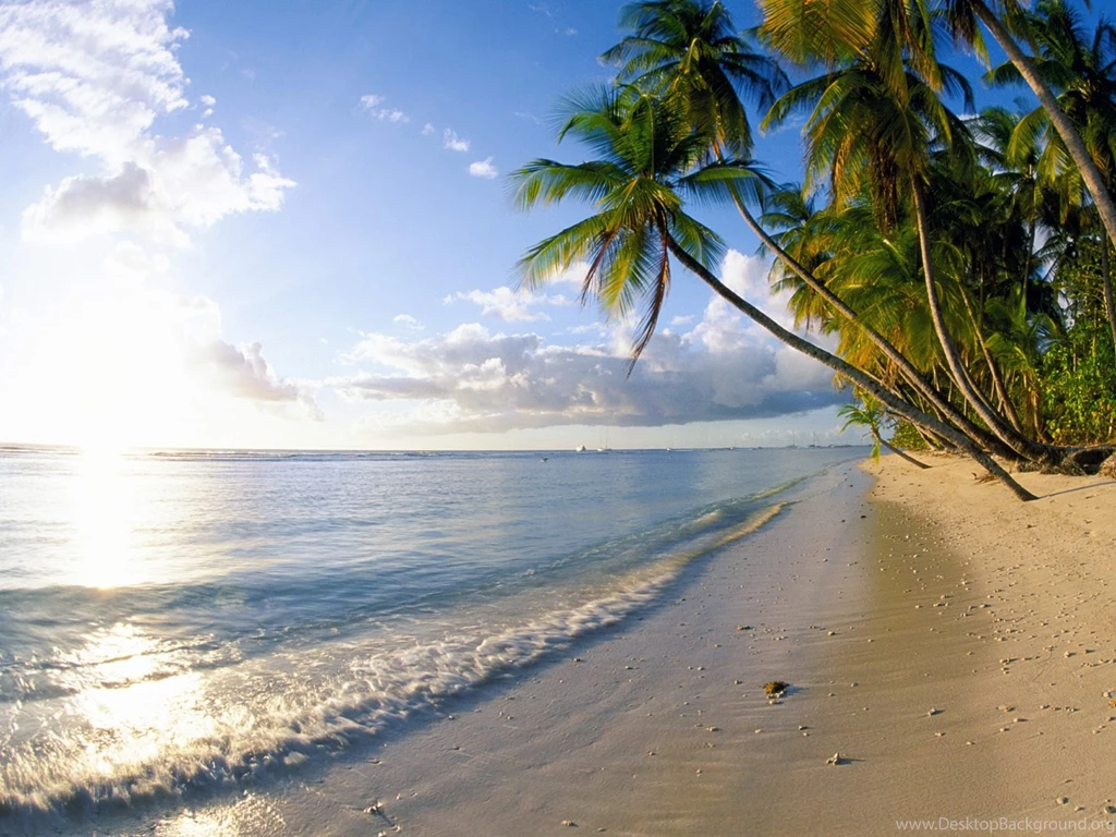 Beach Free Wallpapers Mbagusi.com