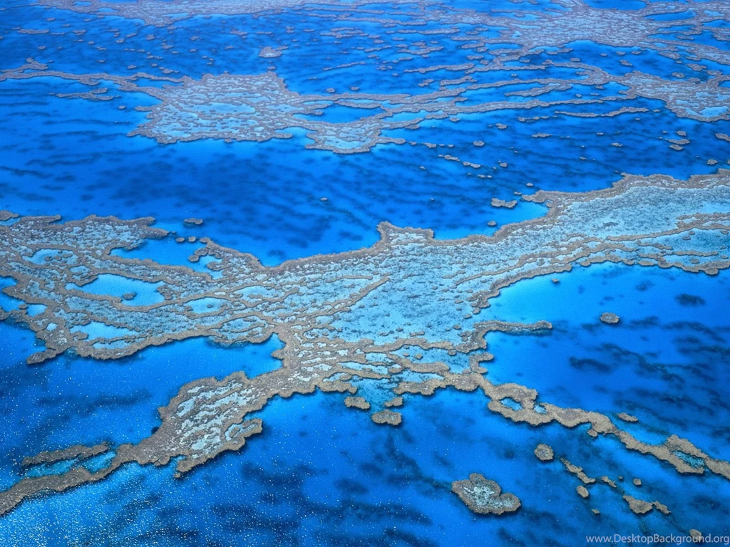 Great Barrier Reef Wallpapers Wallpapers Cave