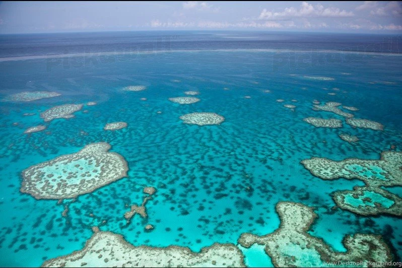 Design Your Own Custom Removable Wallpaper. Image: Great Barrier ...