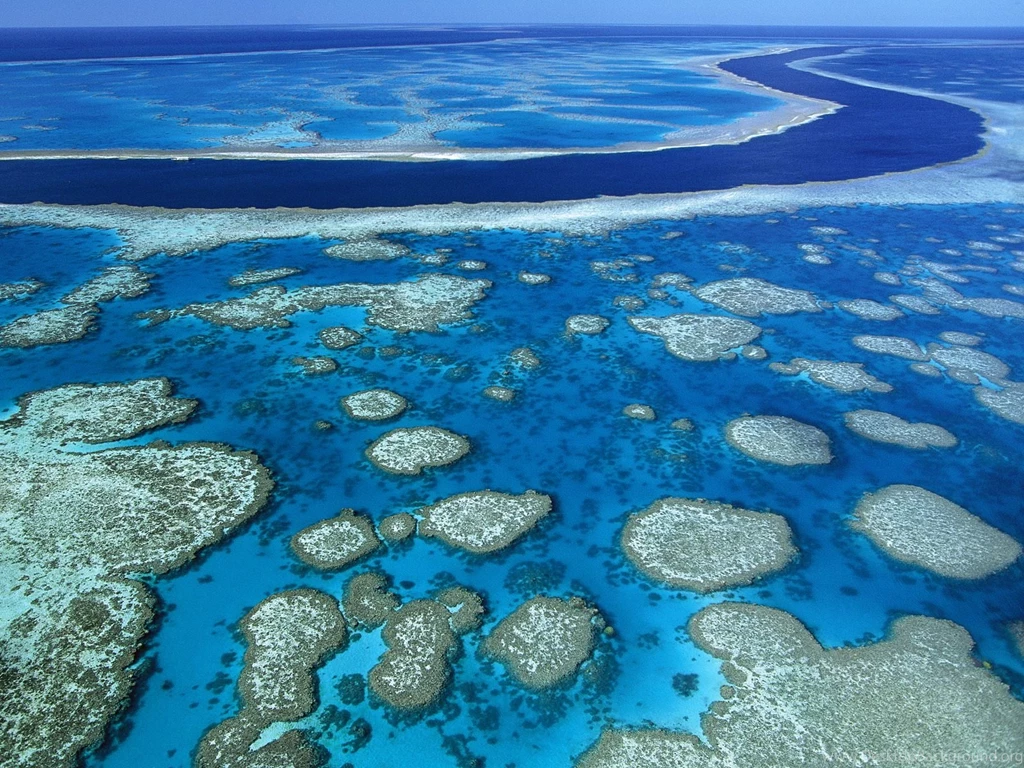 7 Great Barrier Reef HD Wallpapers