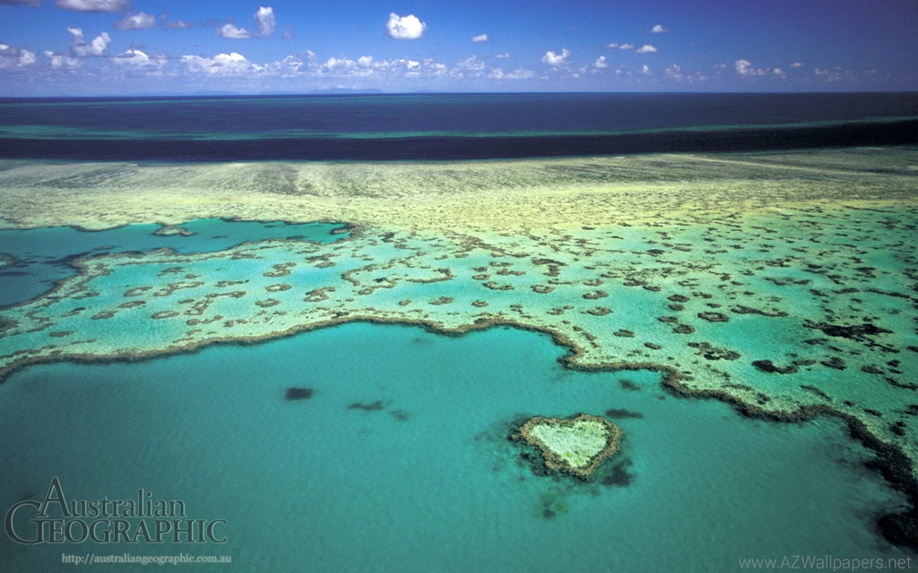 Images Of Australia: Heart Reef, Great Barrier Reef, QLD ...