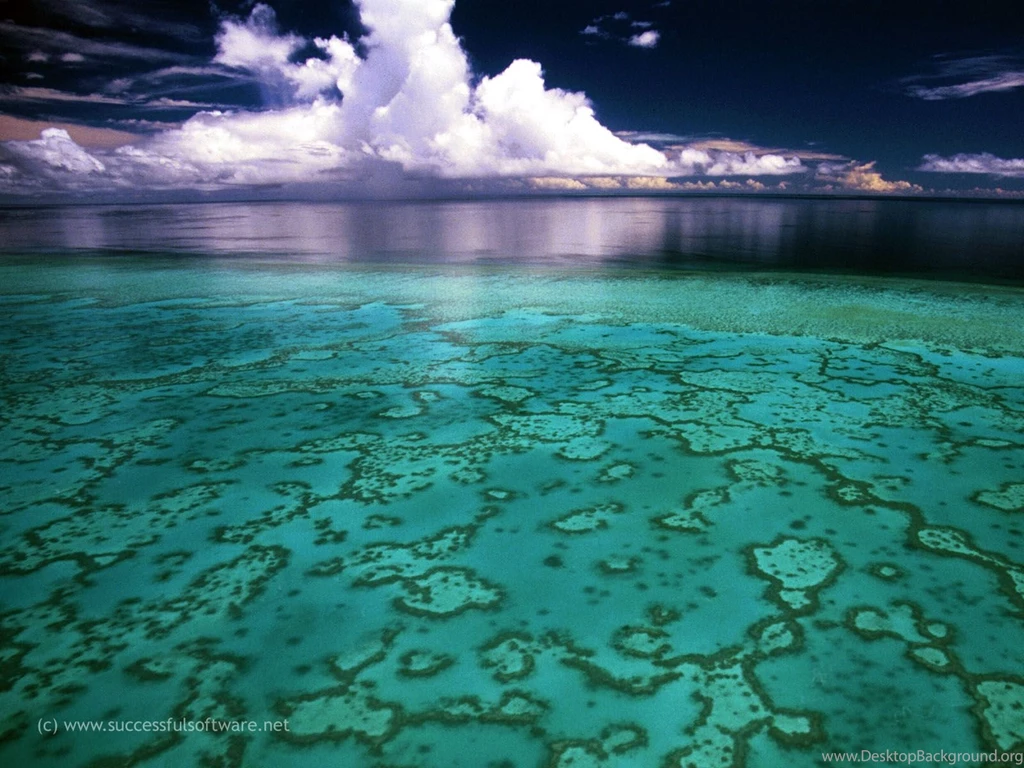 Reef Wallpapers   Wallpapers Cave