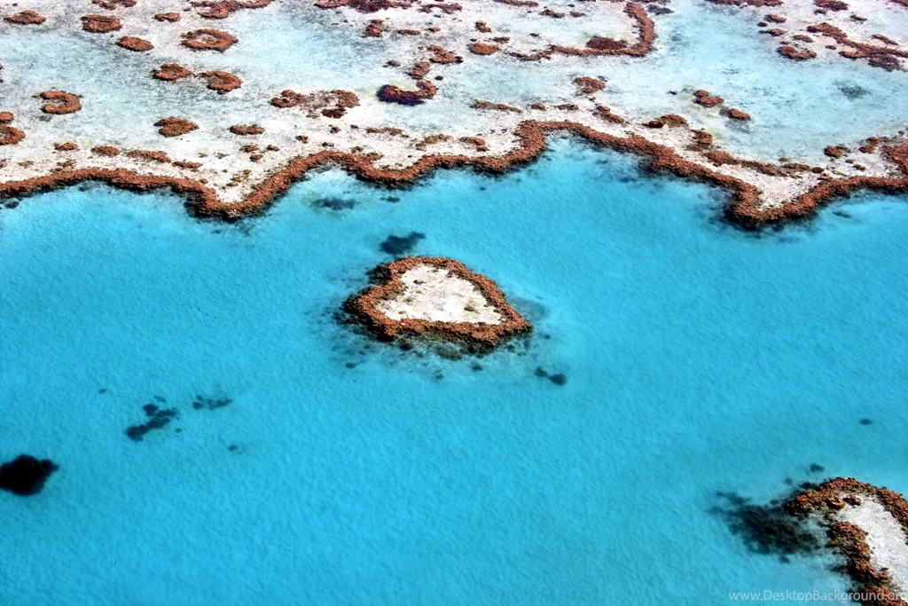 7 Great Barrier Reef HD Wallpapers