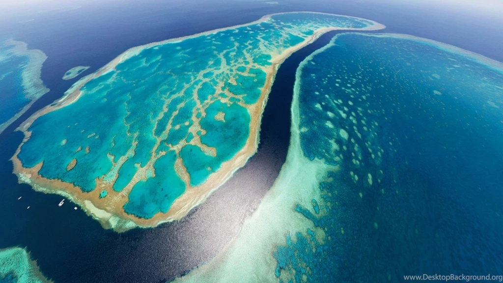 Great Barrier Reef   Wallpaper, High Definition, High Quality ...