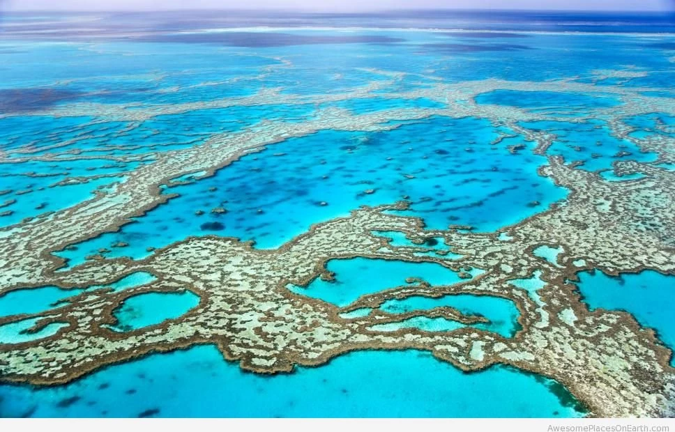 Amazing Barrier Reef Australia Tavel