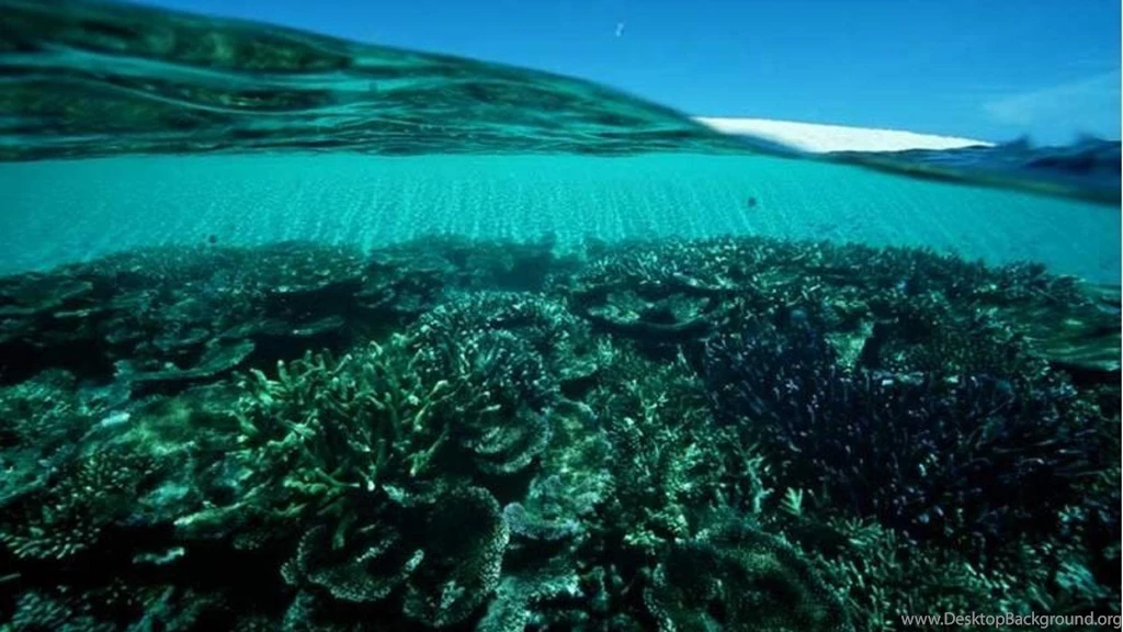 GREAT BARRIER REEF QLD WALLPAPER   (