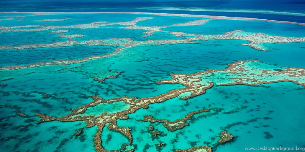 2000x1000px Great Barrier Reef
