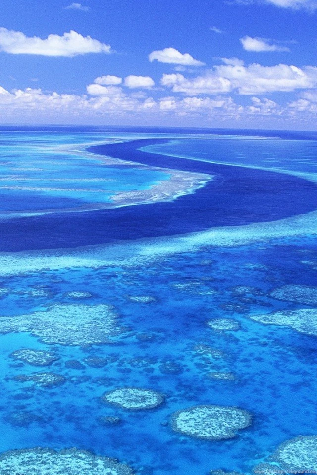 The Great Barrier Reef, Australia iPhone 4/4S/iPod Wallpapers ...