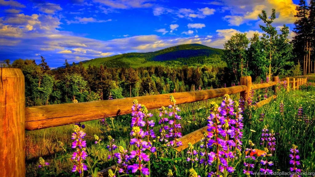 LANDSCAPE WALLPAPER (