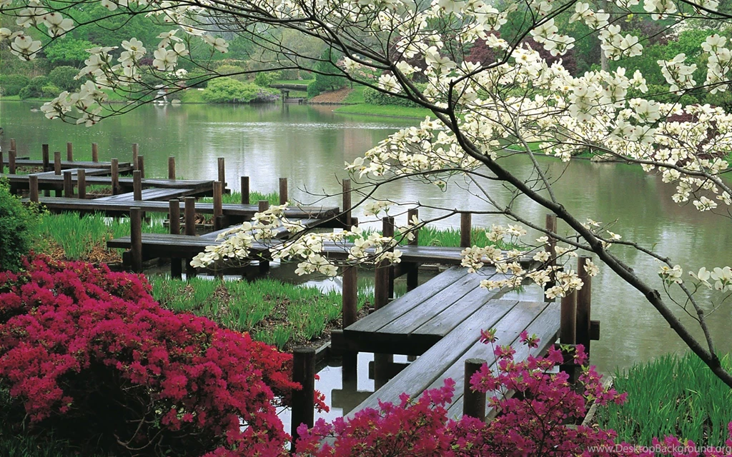 Download Green Landscapes Wallpapers 1920x1200