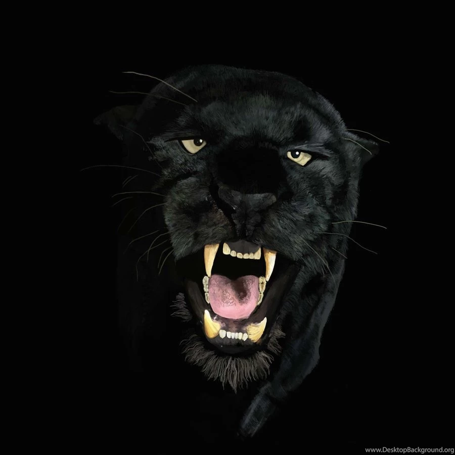 RePin Image: Black Panther Pictures, Images On Pinterest