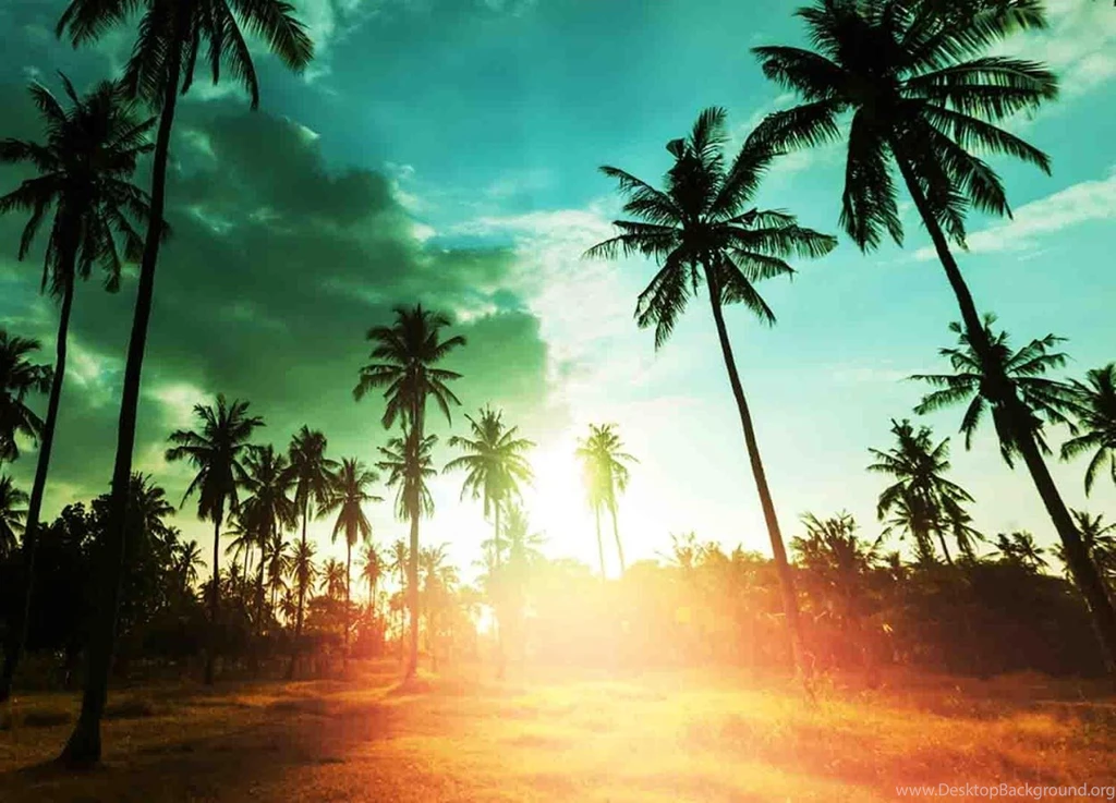 Hawaiian Islands Wallpapers Android Apps On Google Play