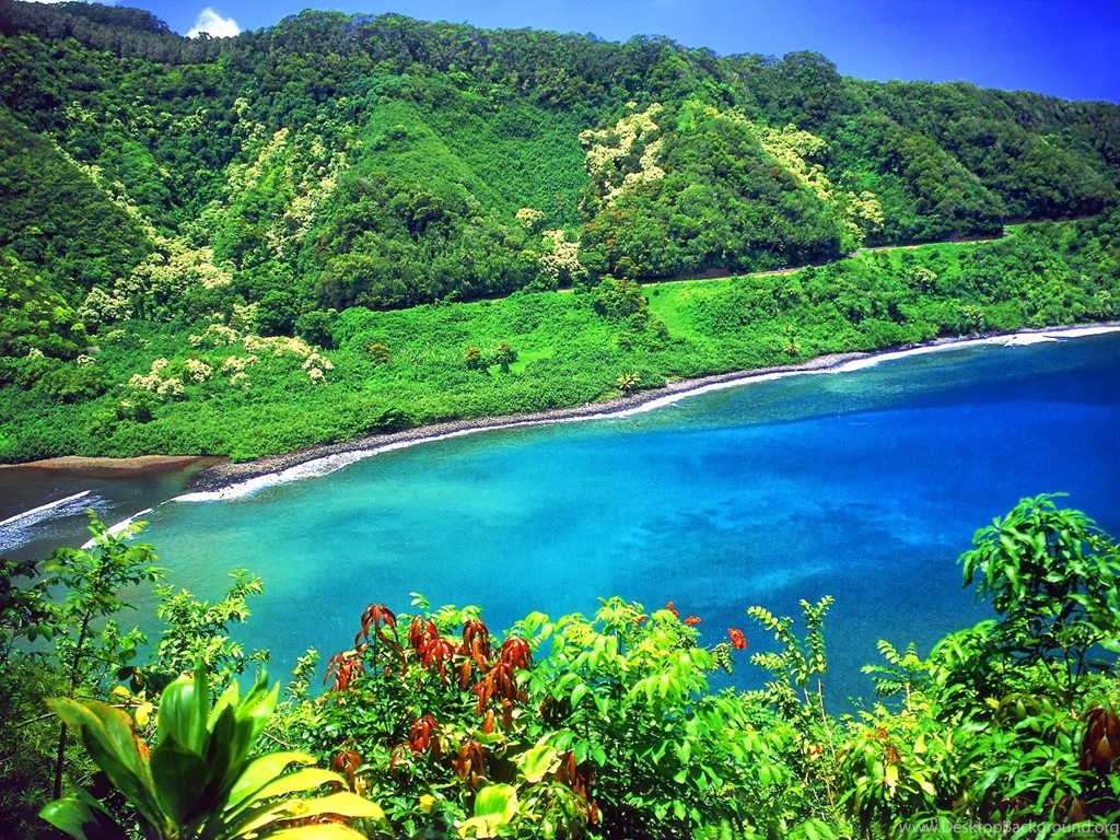 Hawai Wallpapers