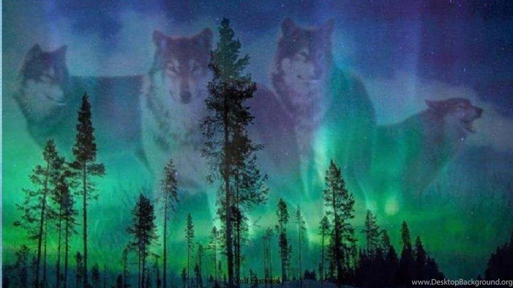 Wallpapers Wolves Aurora Borealis Hd .2 1920x1080