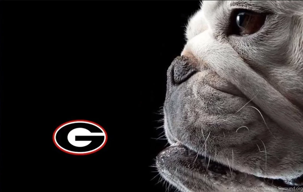 The University Of Georgia Redcoat Band Community Google+