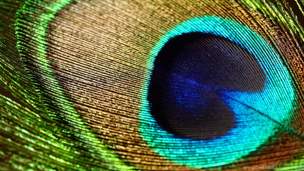 Www.schonewallpaper.de Wallpapers H Page 5