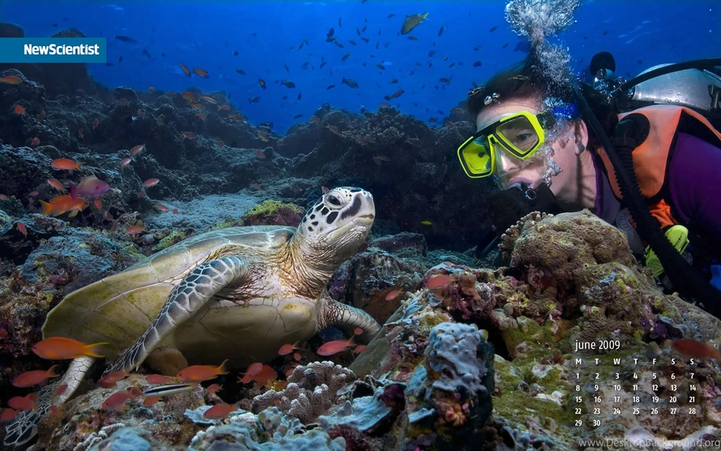 Top 500 Screensaver: Backgrounds For Screensaver