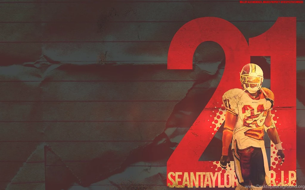 Sean Taylor Miami Hurricanes More Like Sean Taylor II By