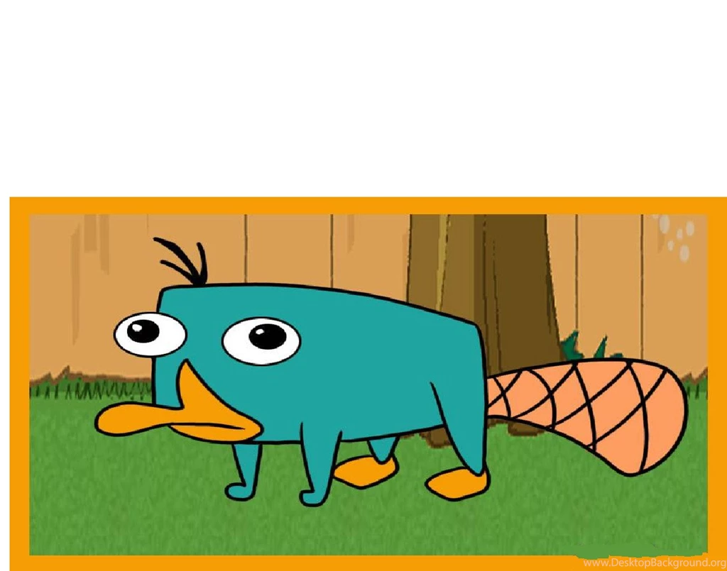High Quality Perry The Platypus Wallpapers