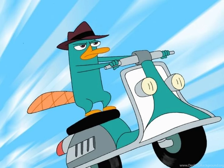 Thousands Of Images About Pics Of Perry The Platypus On Pinterest ...