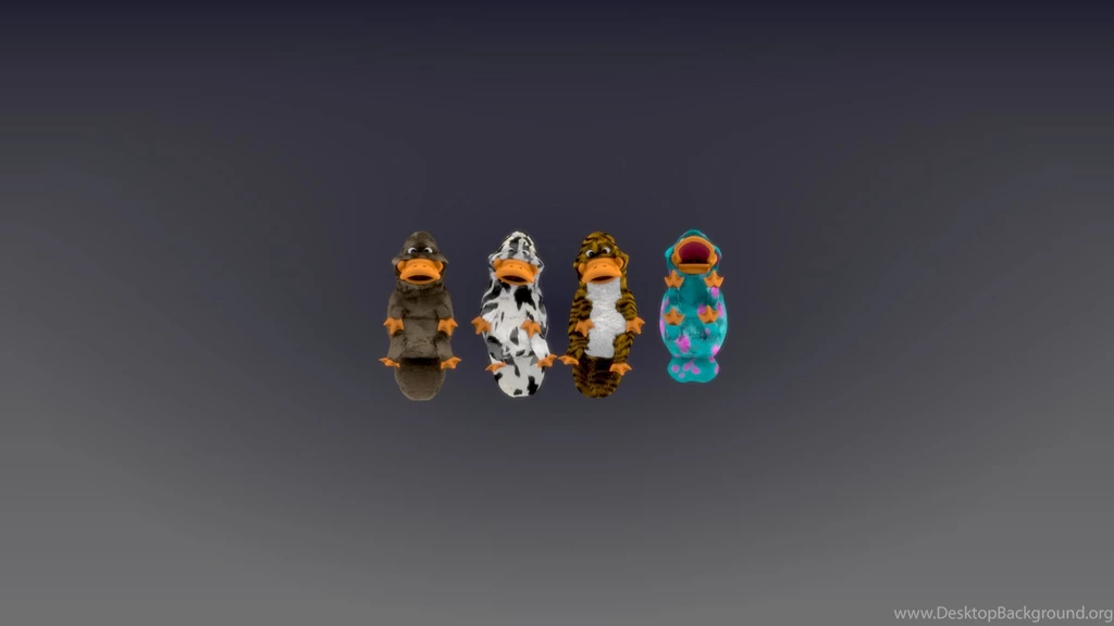 Free Wallpapers Blog Platypus Backgrounds