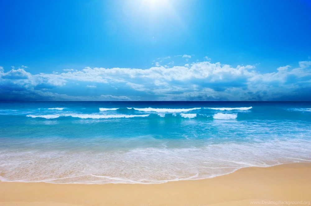 Beach Scene Video Loop