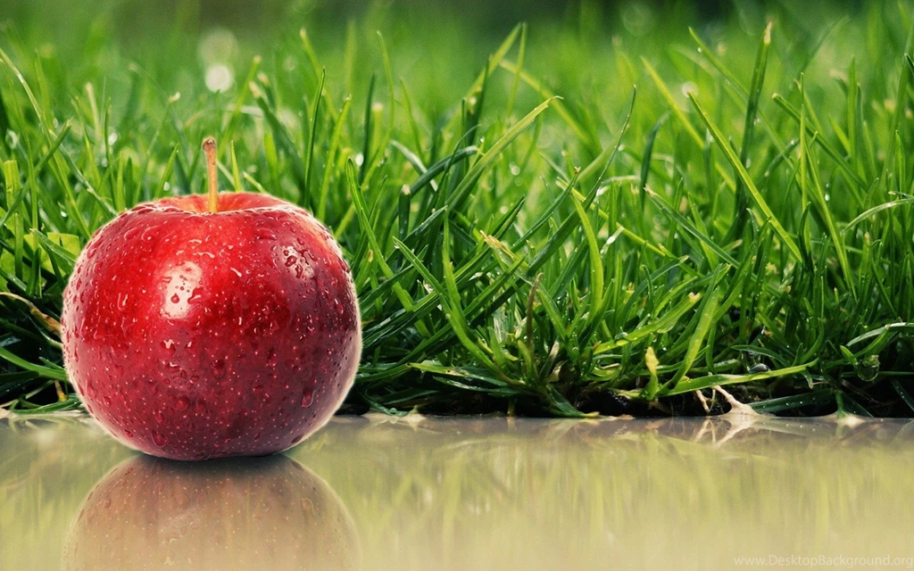 Download Grass Apples Wallpapers 1920x1200