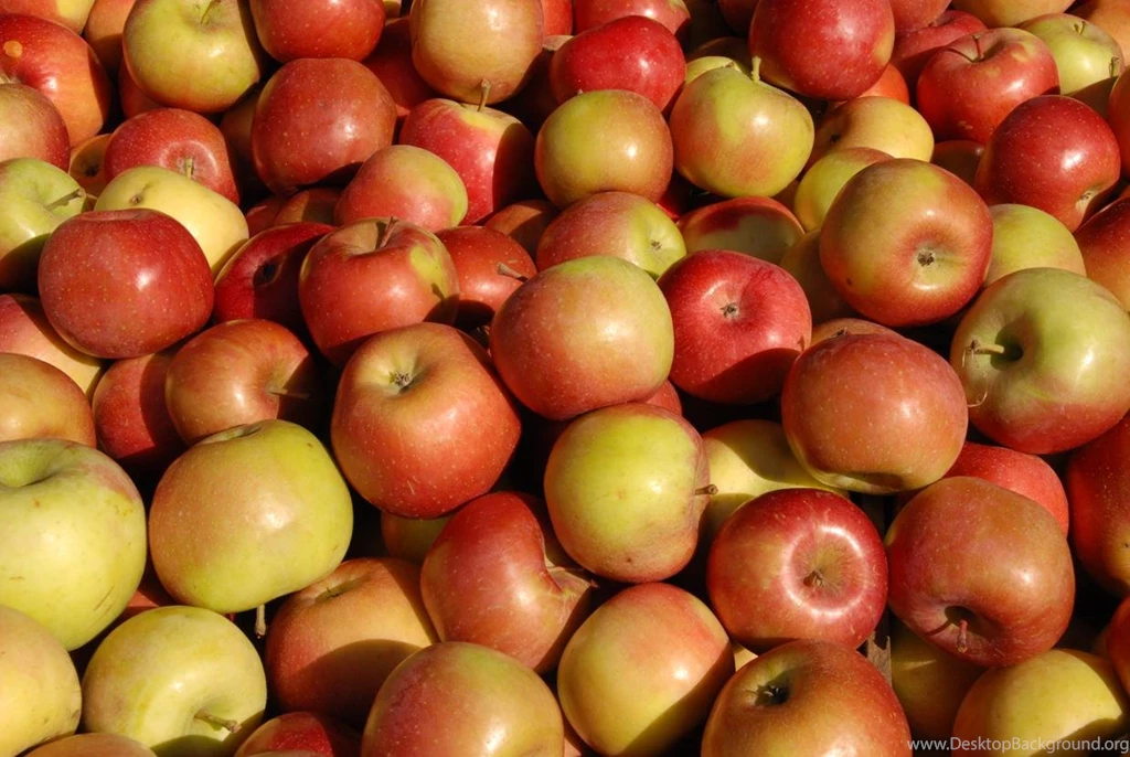 ROSEY APPLES WALLPAPER   (