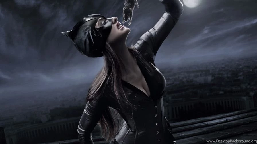 Catwoman Wallpapers The Hot Desktop