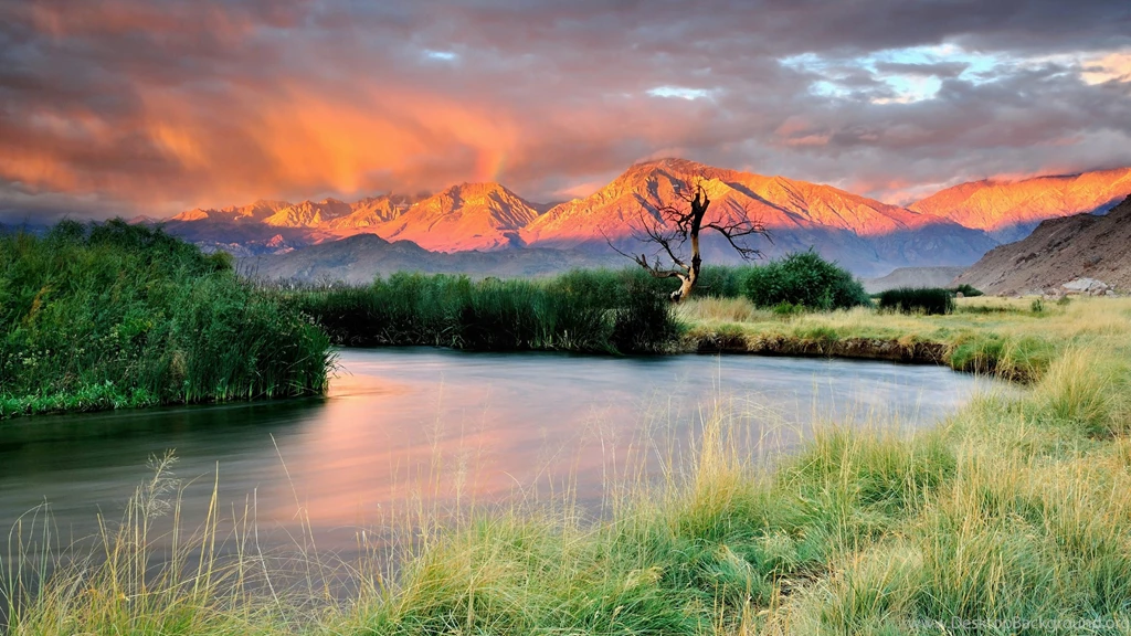 Mountain River Forest Scenery Wallpapers For Desktop & Mobile