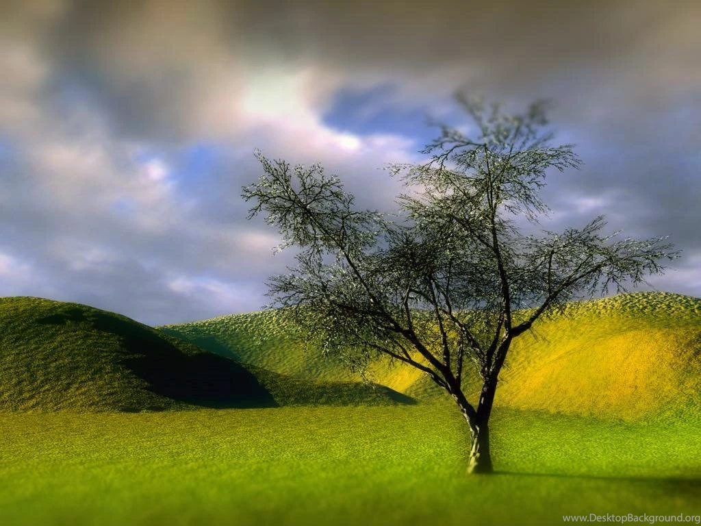 Nature Wallpapers Santabanta