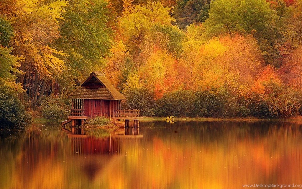 House On A Yellow Lake Wallpapers (22289) Wallpaperesque