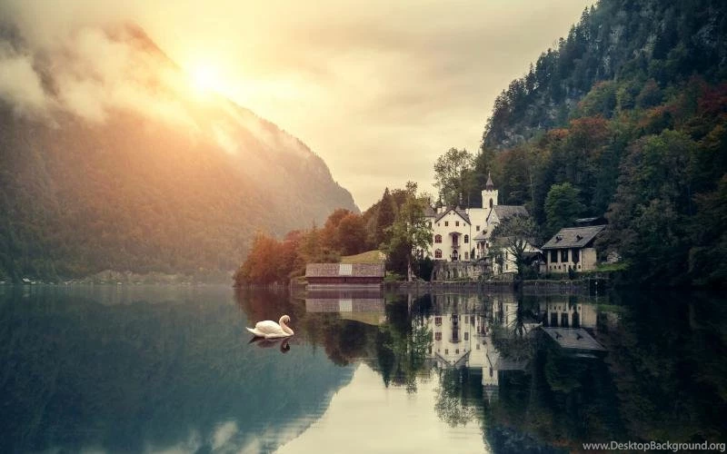 Beautiful Morning Scenery, Mountain, Lake, House, Swans, Forest ...