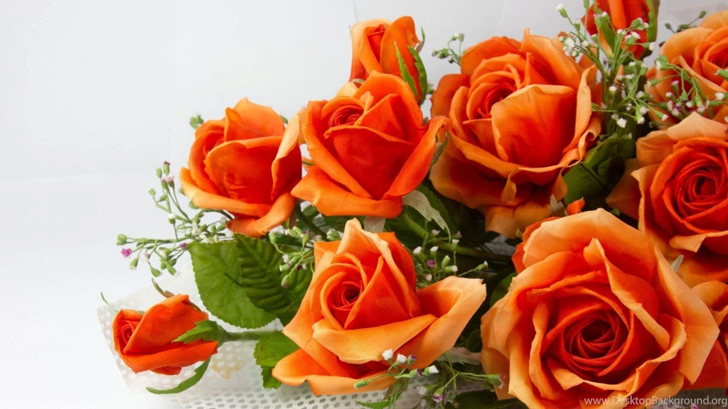 Desktop Hd Orange Rose Wallpapers 3d Hd Pictures.