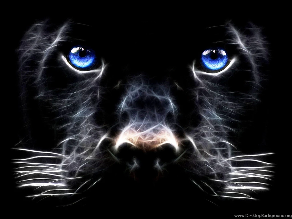 Free Animated Backgrounds For Windows 7 Beauty Wallpapers Photos Of ...