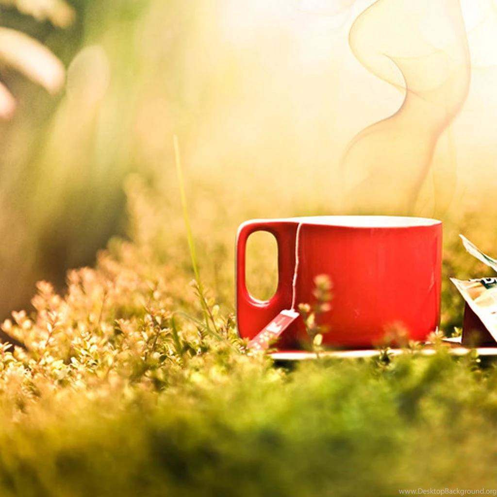 Cup iPad Wallpapers