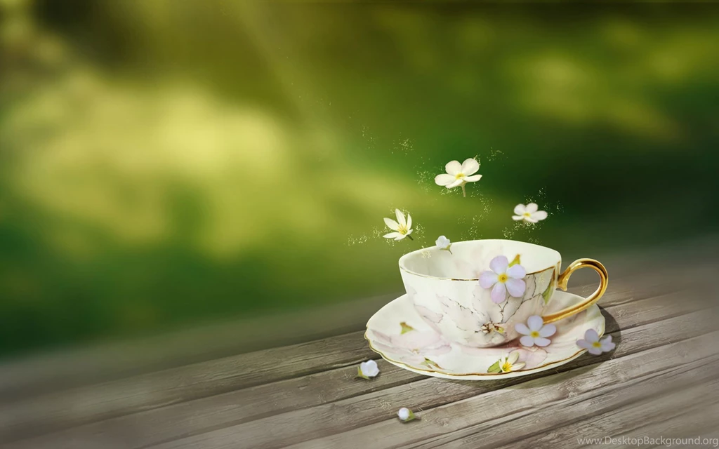 Flowers And Coffee Cup Wallpapers HD Of Fresh Wallpapers
