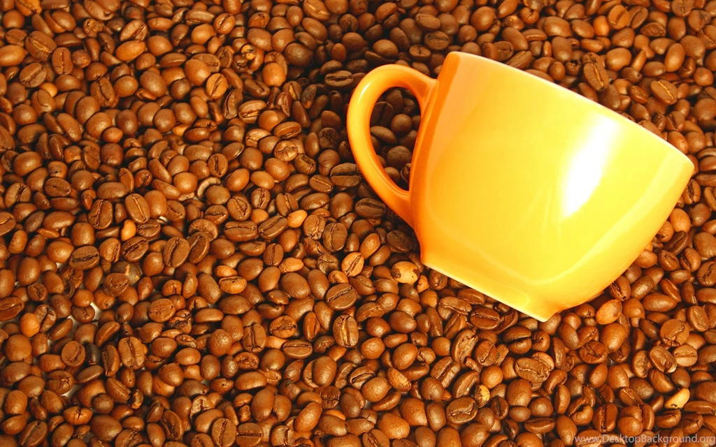 Download The Cup Of Coffee Beans Wallpaper, Cup Of Coffee Beans ...