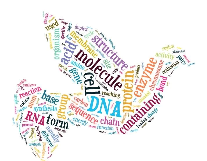 Biochemistry : A World Inside A World