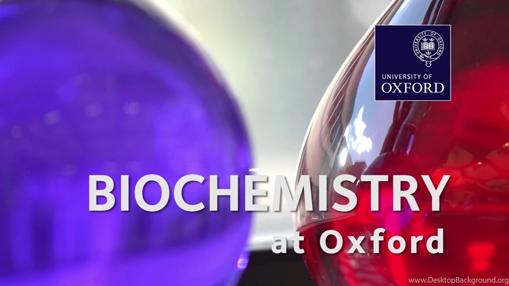 Biochemistry (Molecular And Cellular) At Oxford University YouTube