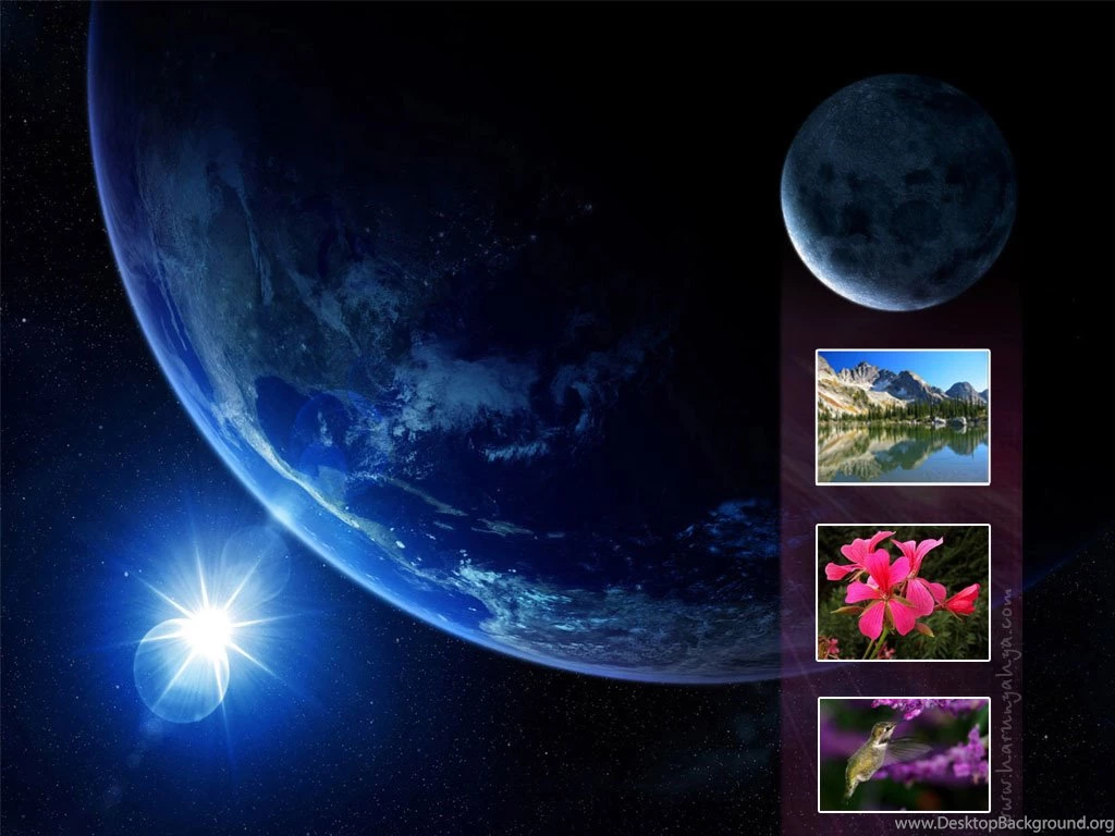 Theistsunited.com Universe, Space, Human Body, Animals, Plants ...