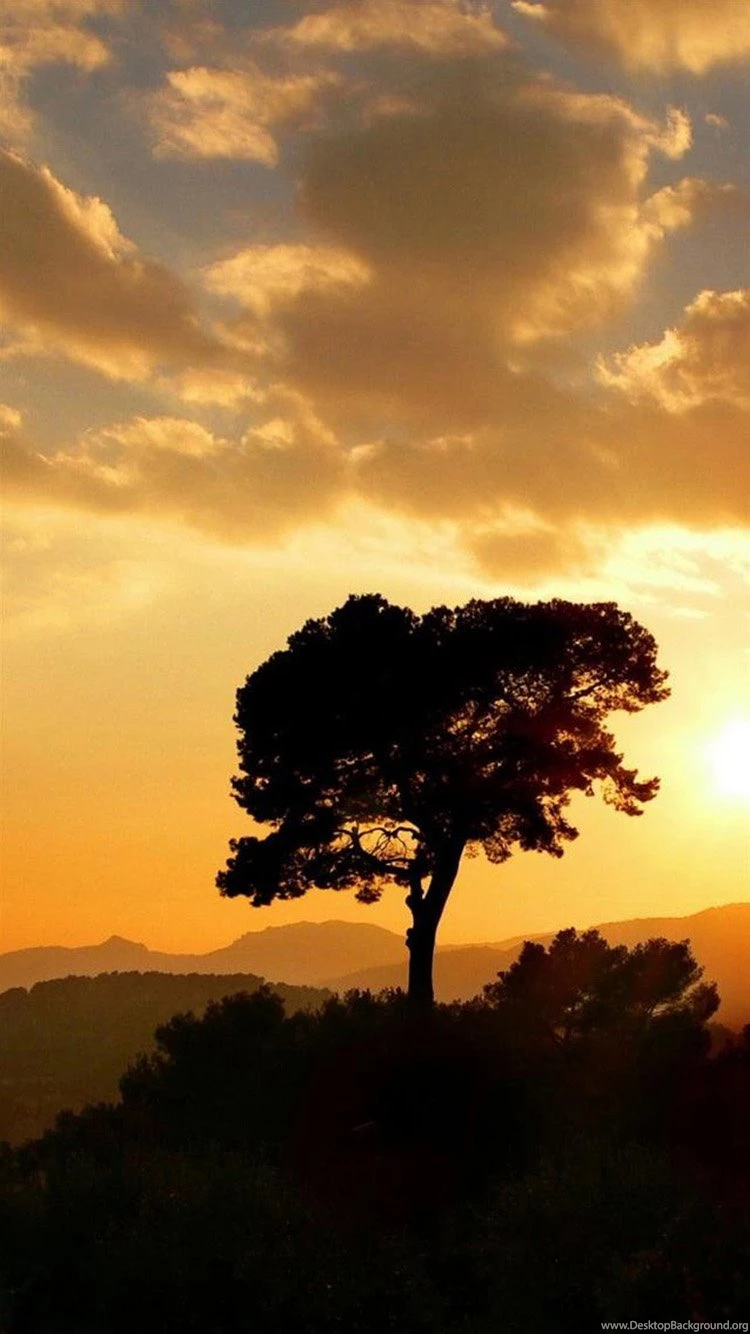Sunset iPhone 6 Wallpapers HD