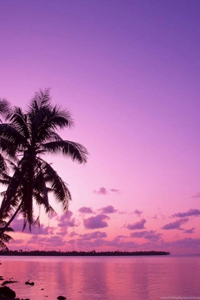 Pink Iphone Wallpapers