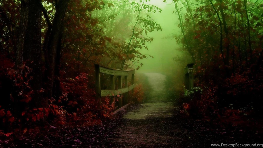Mystical Trail Wallpapers (