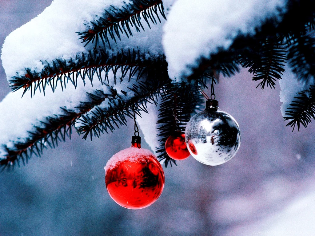 Christmas Tree Wallpapers HD