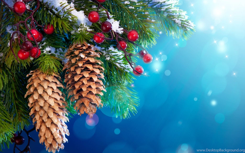 Christmas Tree Branches With Cones New HD Wallpapers