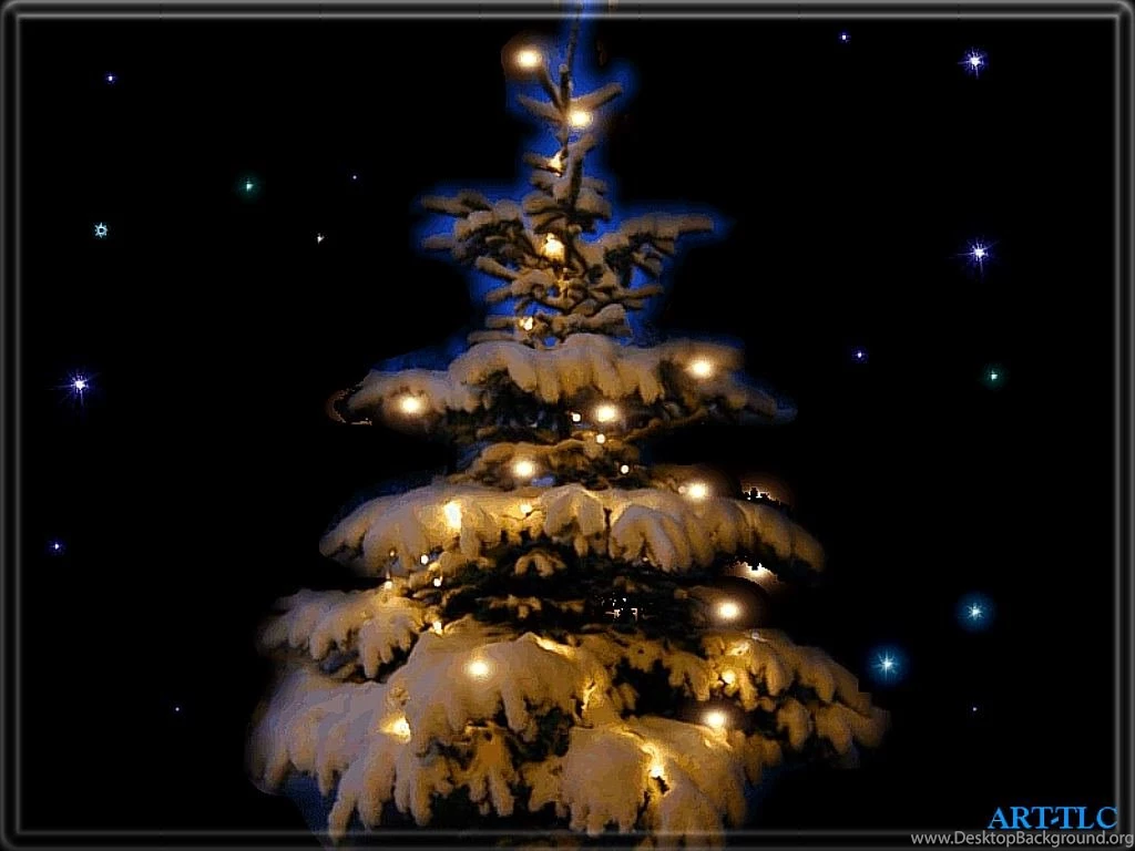Christmas Tree Wallpapers HD