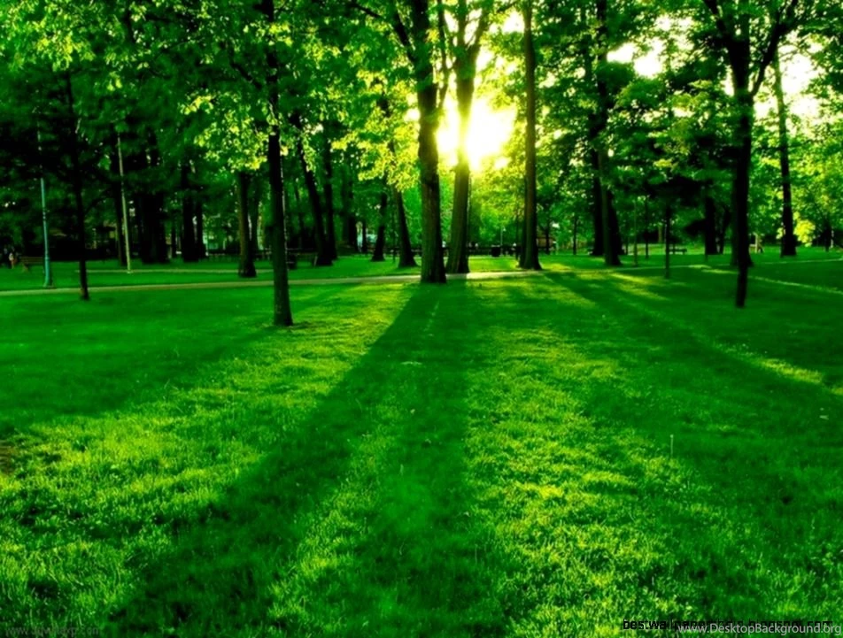 Green Wallpapers High Resolution