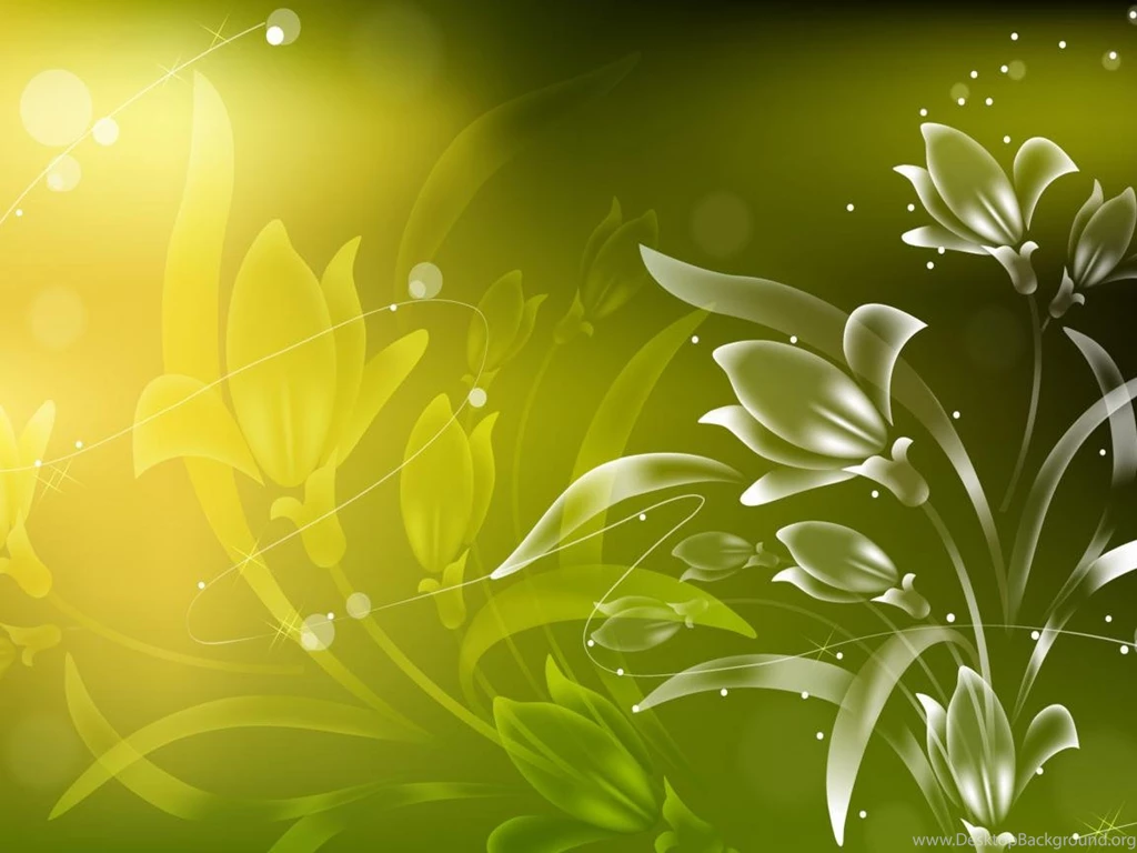 Wallpapers Full Colour Flowers Garden Abstract Colorfull Hd ...