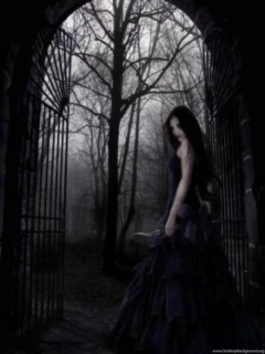 Zedge Net Wallpapers